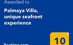 Palmaya Villa, Unique Seafront Experience