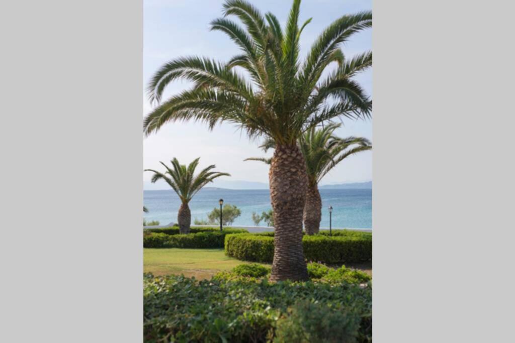 Palmaya Villa, Unique Seafront Experience Βάγια Εξωτερικό φωτογραφία