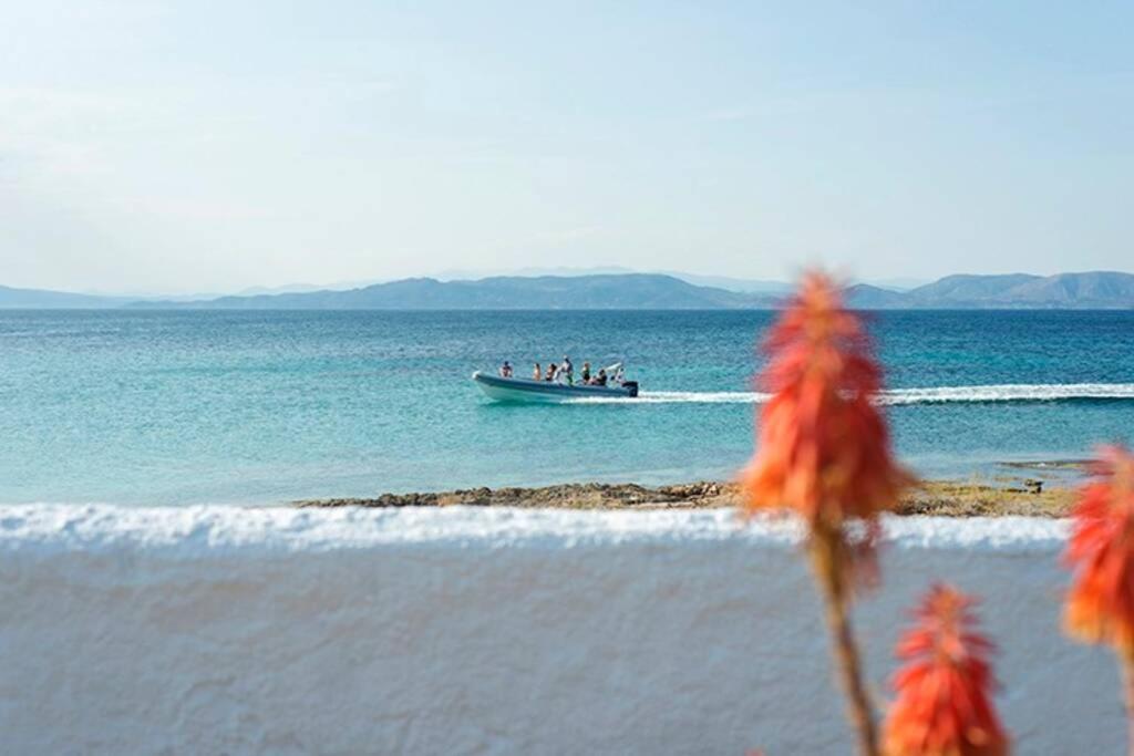 Palmaya Villa, Unique Seafront Experience Βάγια Εξωτερικό φωτογραφία