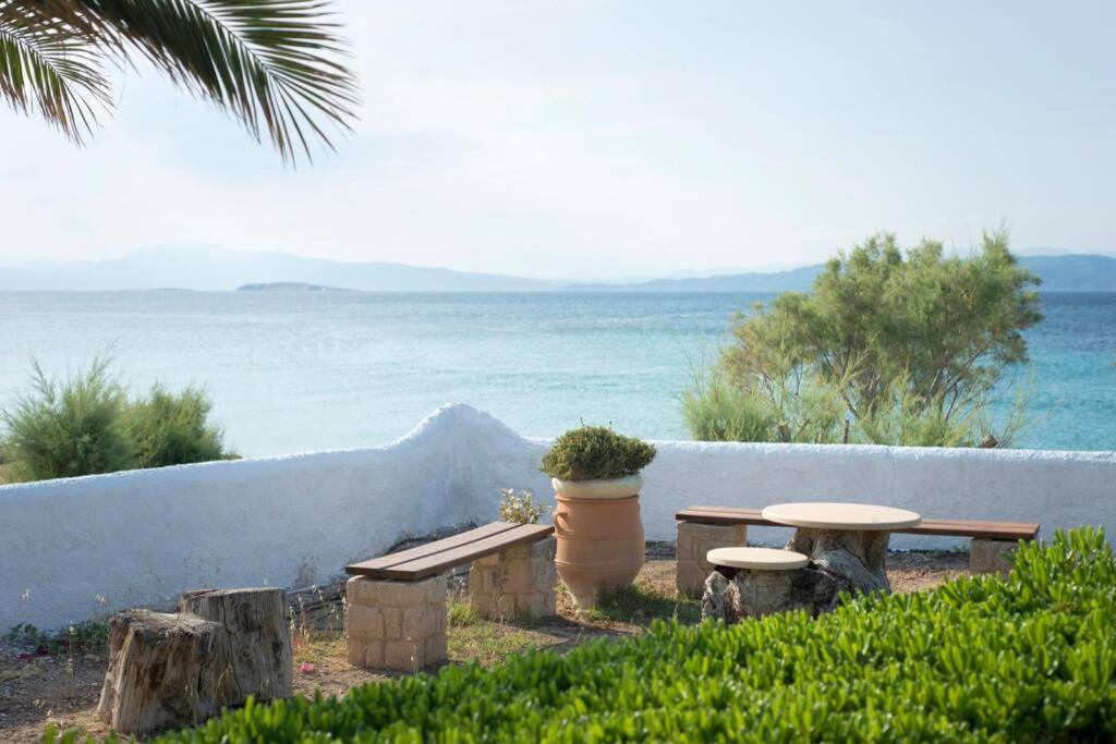 Palmaya Villa, Unique Seafront Experience Βάγια Εξωτερικό φωτογραφία